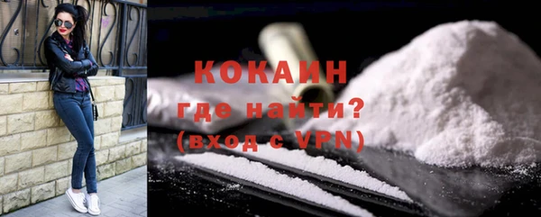 ПСИЛОЦИБИНОВЫЕ ГРИБЫ Козловка