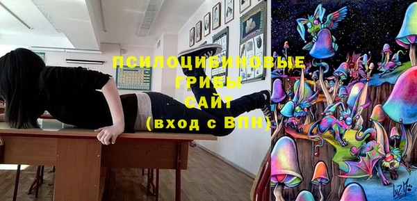 прущие крисы Кодинск