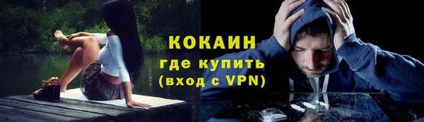 прущие крисы Кодинск
